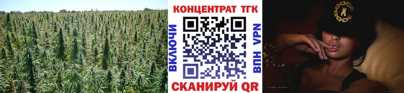 Дистиллят ТГК Wax Купить где Енисейск